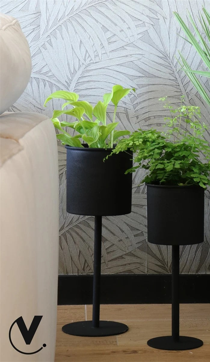 Catamarca 2 delig set