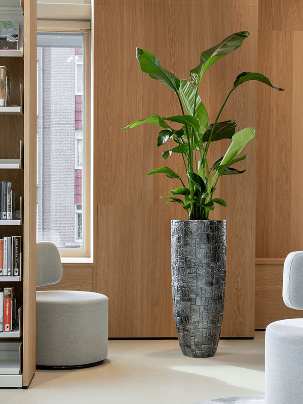 Baq Luxe Lite Universe Note Partner silver 38x110cm
