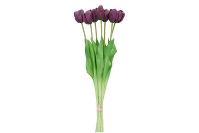 Silk Tulp 7x Aubergine 43cm