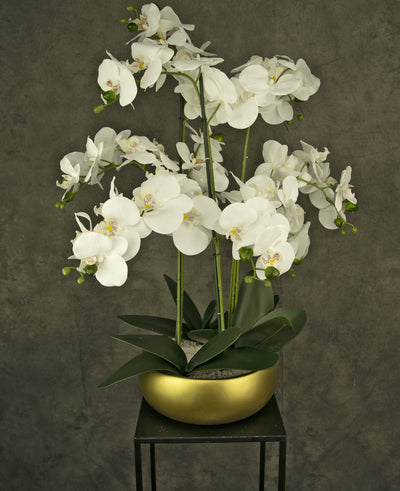 Kunst Orchidee 65 cm Wit in Gouden Schaal